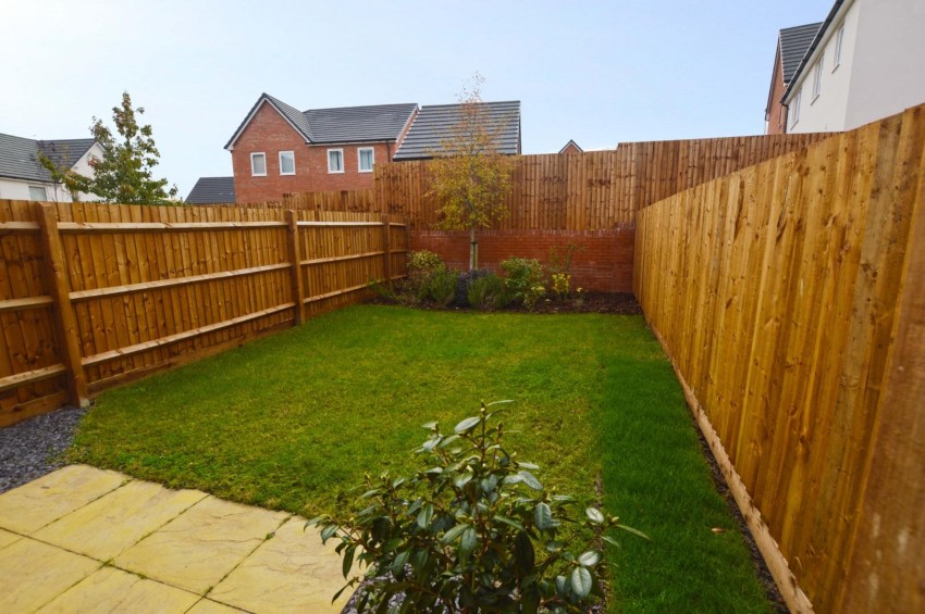 Images for Lewis Mews, Rugby
