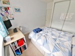 Images for Main Street, Frankton, Rugby