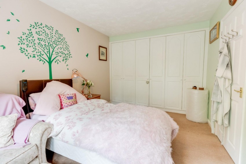 Images for Hassocks Hedge, Hunsbury Meadows, Northampton