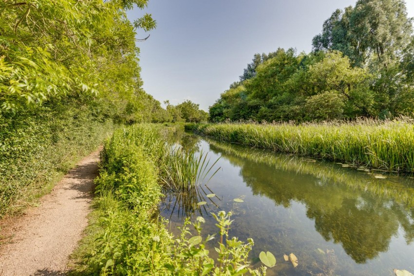 Images for Hassocks Hedge, Hunsbury Meadows, Northampton