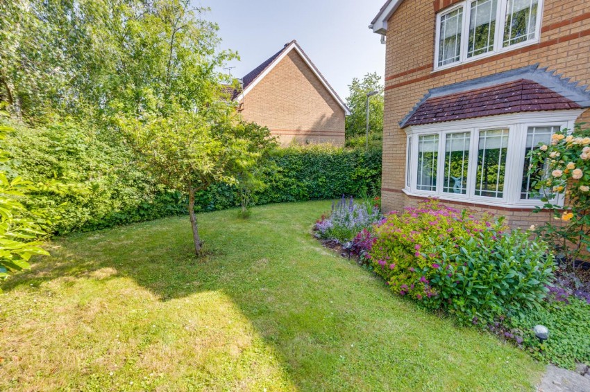 Images for Hassocks Hedge, Hunsbury Meadows, Northampton