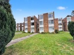 Images for Martin Lane, Rugby