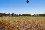 Images for Chapel End, Piddington, Northampton