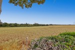 Images for Chapel End, Piddington, Northampton