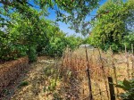 Images for Westwood, Sawbridge Road, Grandborough, Warwickshi